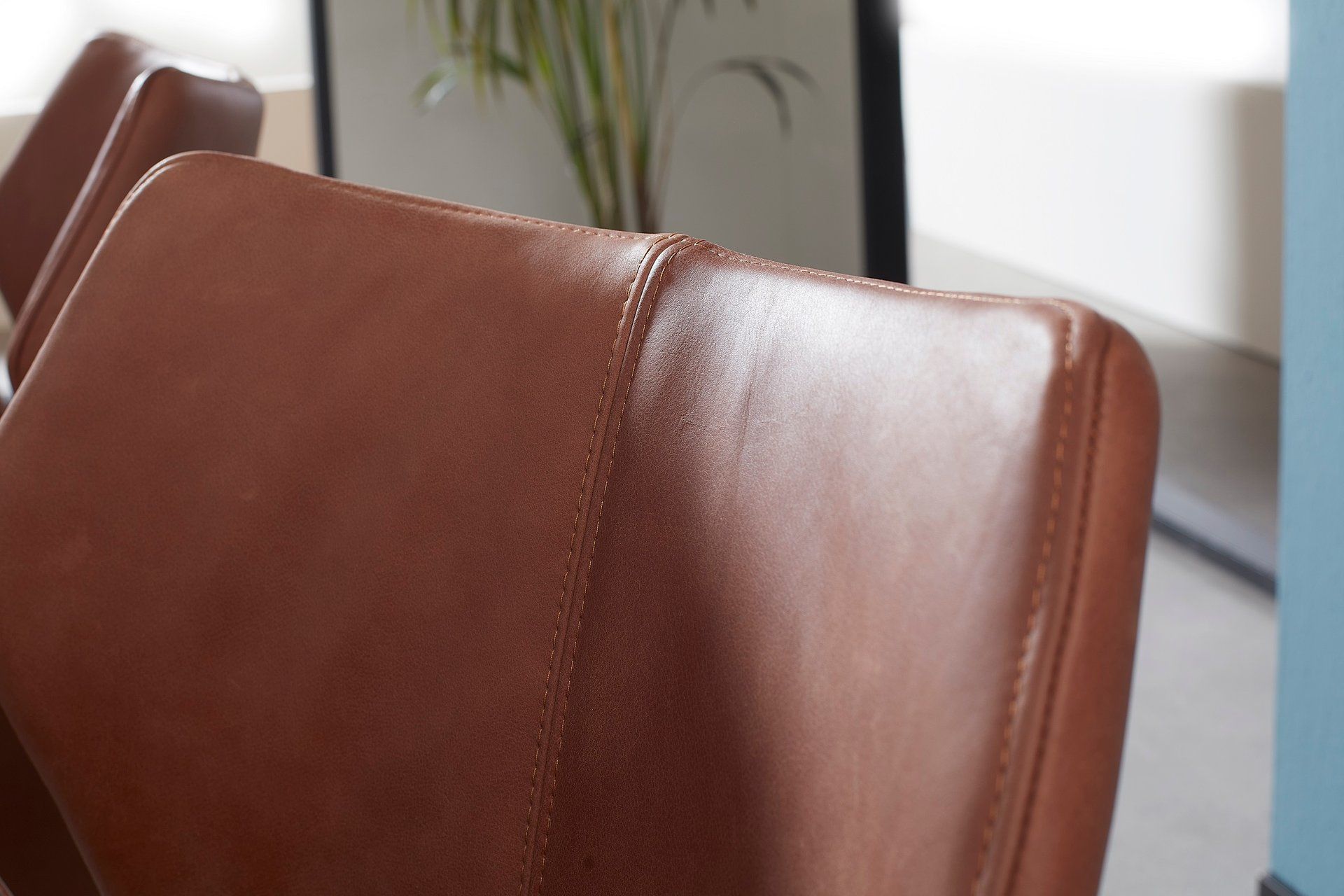 Eetkamerstoel Evita | 5