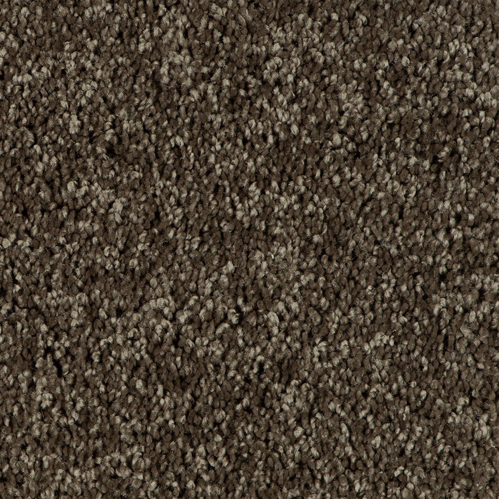 Soft Sensation AA67 149 T1 400 tapijt Parade