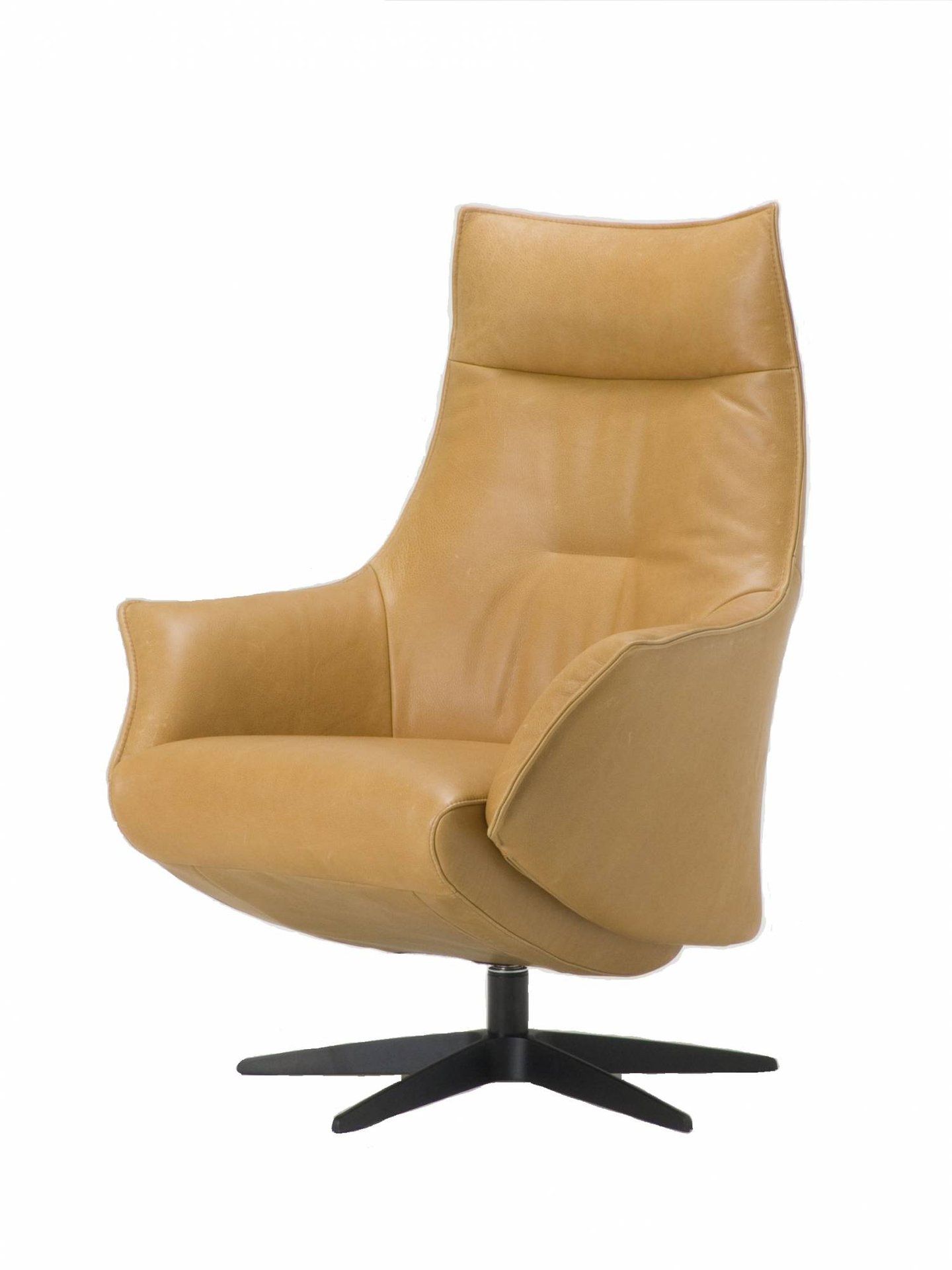Relaxfauteuil Levi | 1